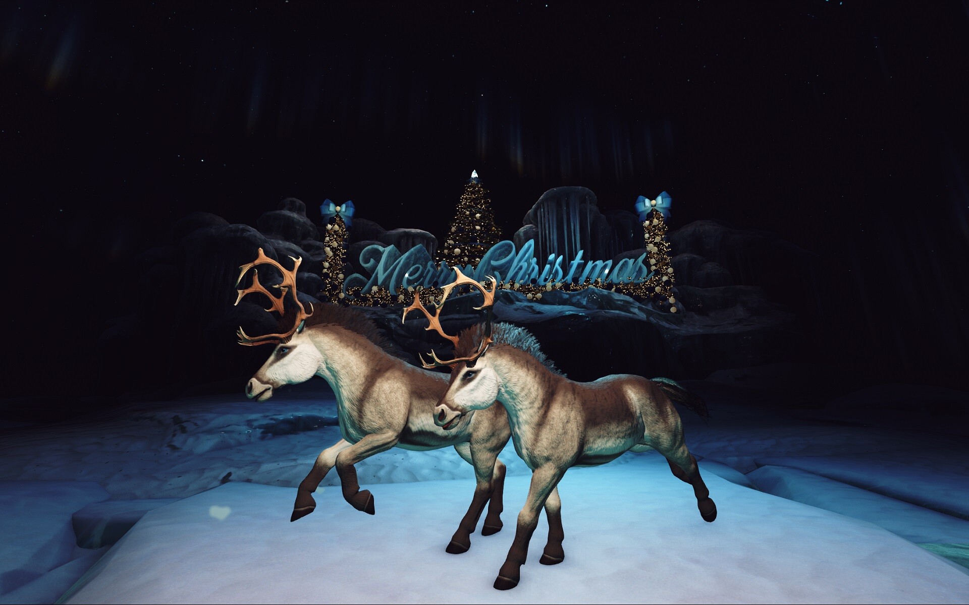 Christmas Showcase - Equibu on Equus