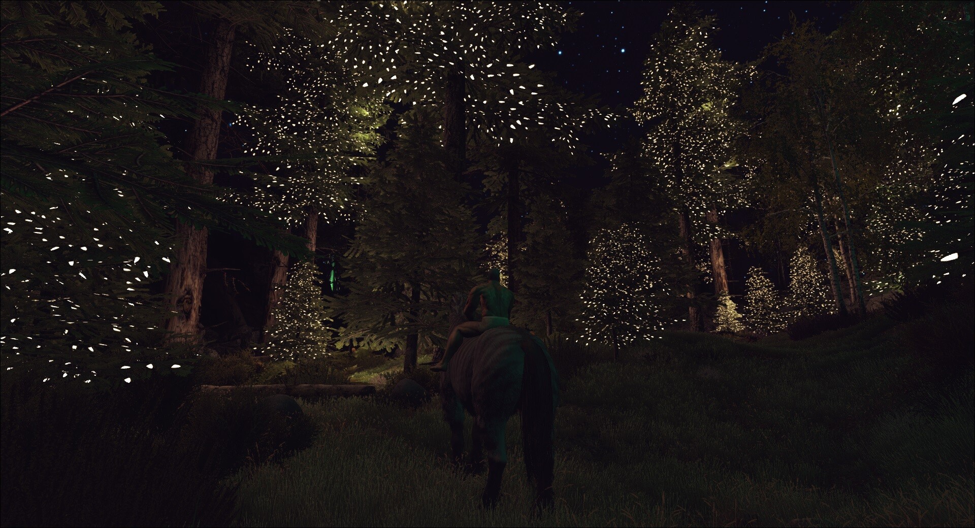 Christmas Showcase - Christmas Fir Trees